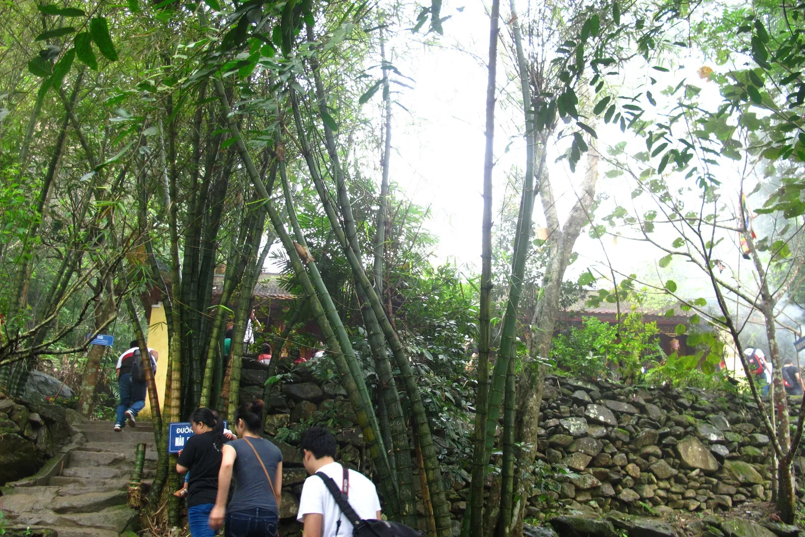 Du khách đi trên lối đá qua rừng tre gần đền Tây Thiên ở Tam Đảo.
