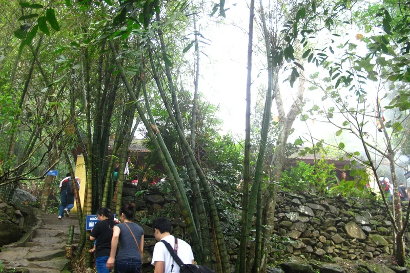 Du khách đi trên lối đá qua rừng tre gần đền Tây Thiên ở Tam Đảo.
