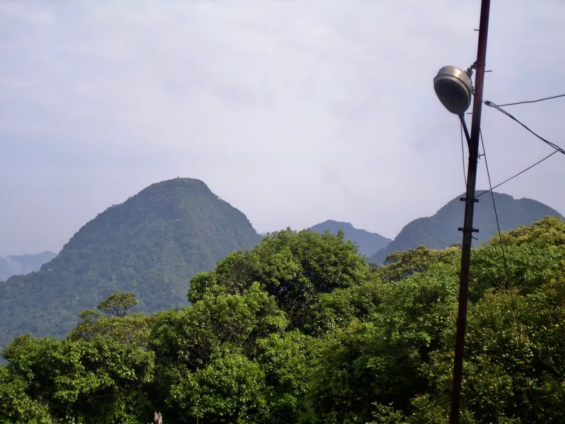 Những đỉnh núi xanh tròn nhô lên trên rừng cây gần Tam Đảo, có cột điện và dây cáp ở phía trước.